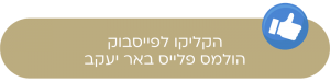 כללי 1