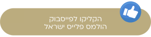 כללי